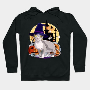 Devon Rex Cat Funny Halloween Witch Pumpkin Hoodie